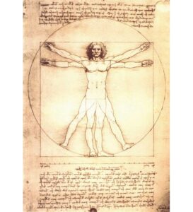 Vitruvian-Man-by-Leonardo-da-Vinci-SR166-13711080886vguQo